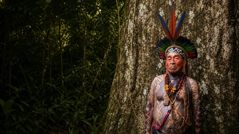 Mushuinu, ancião da Aldeia Mushuinu, diante de uma grande árvore